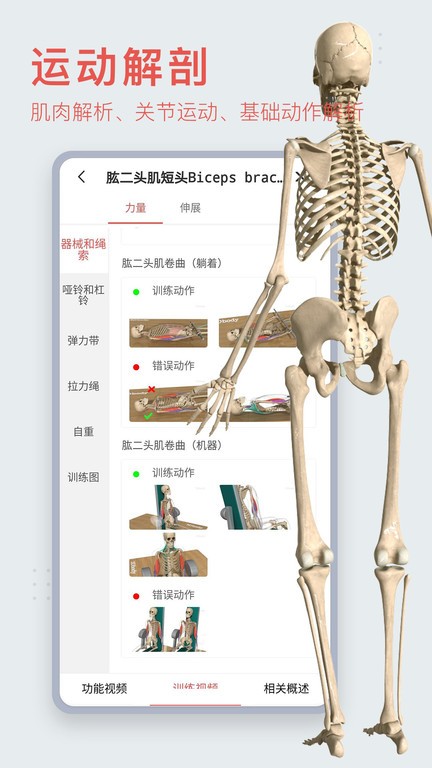 3d人体模型截图3