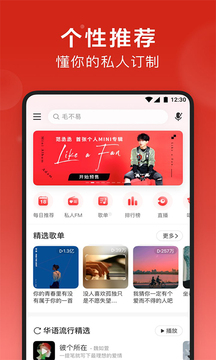 网易云音乐黑椒解灰版截图2