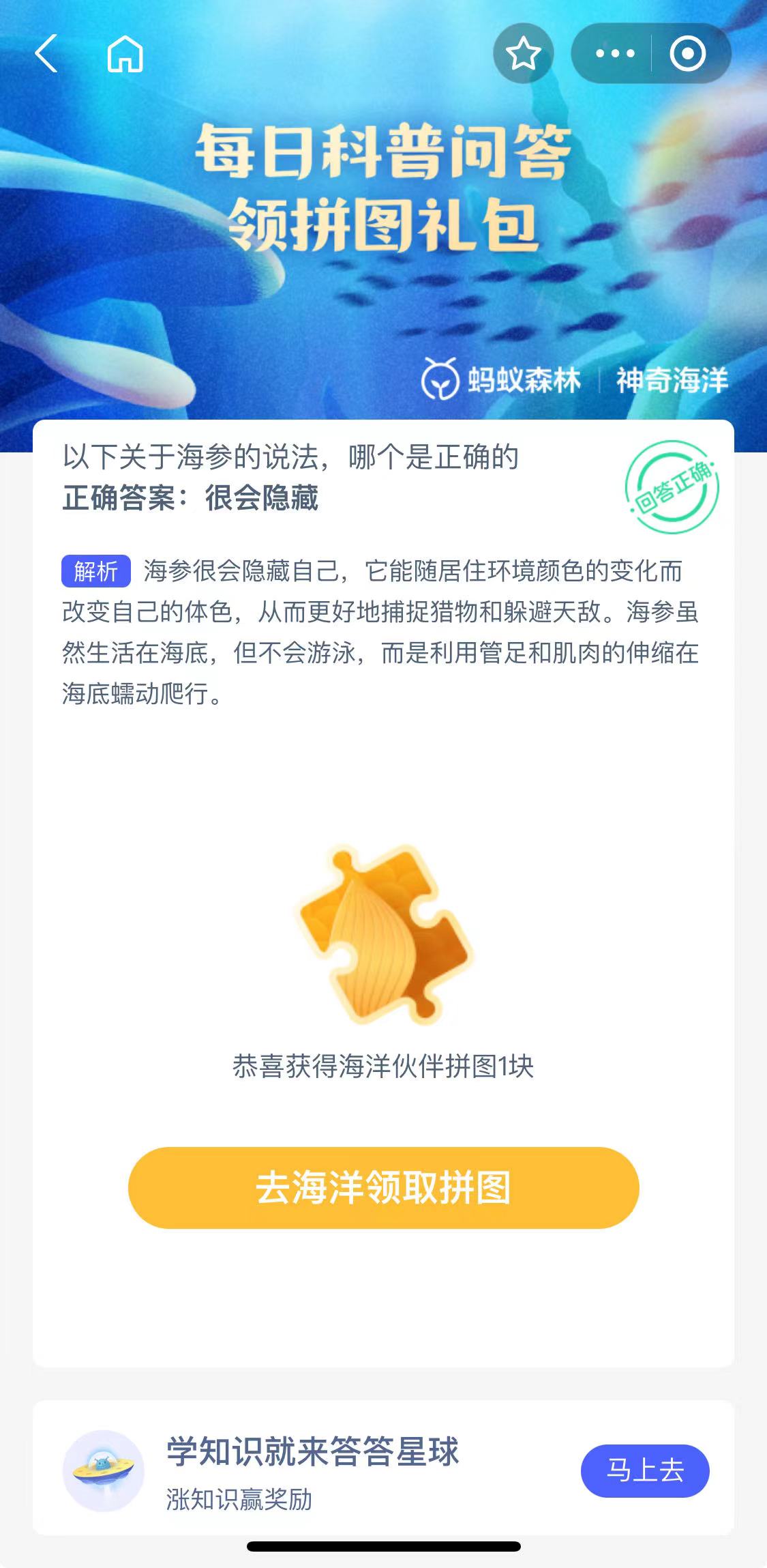 关于海参的说法，哪个是正确的